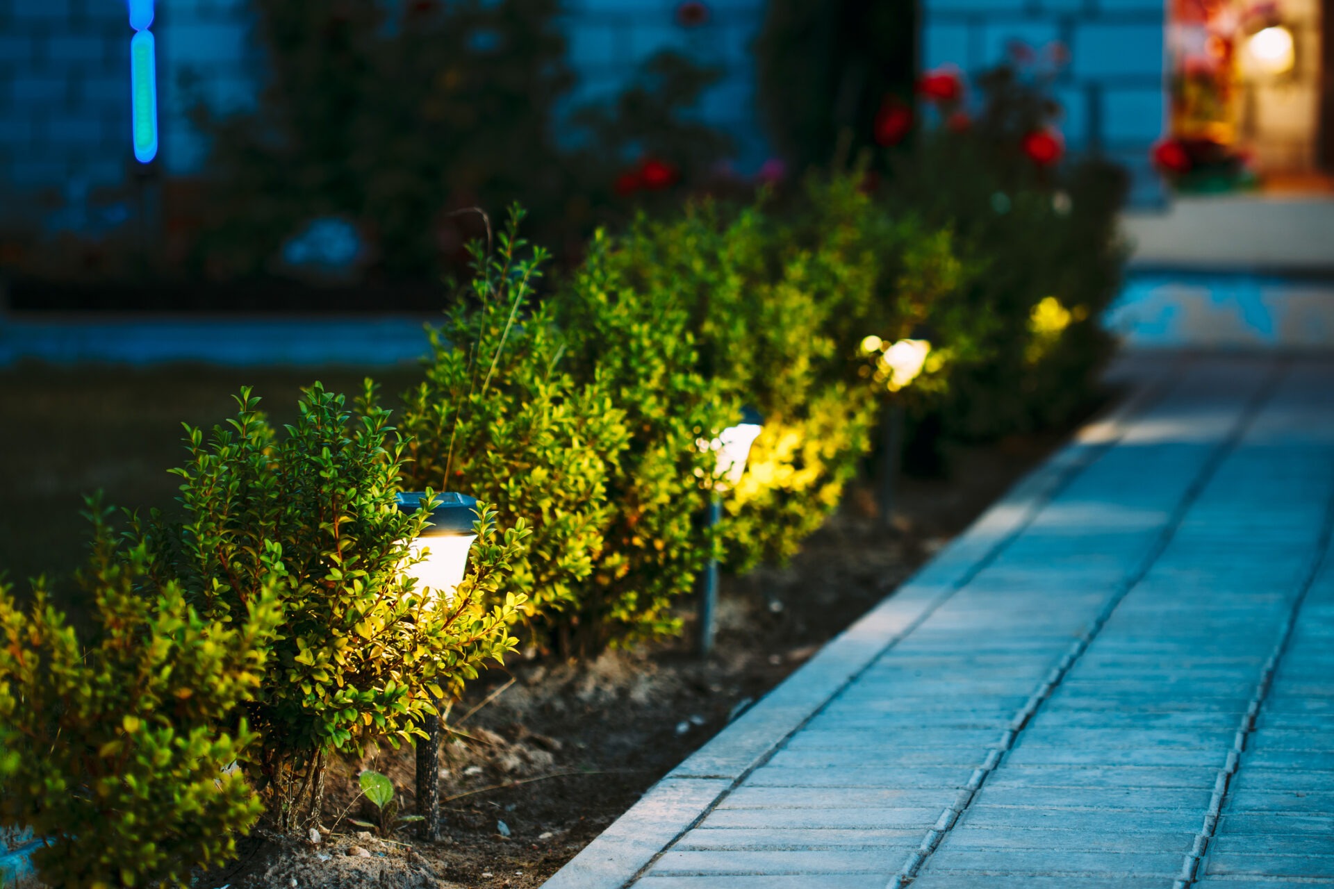 Illuminated garden path with neat hedges and bright lights leading to a building entrance at dusk, creating a warm, inviting atmosphere.