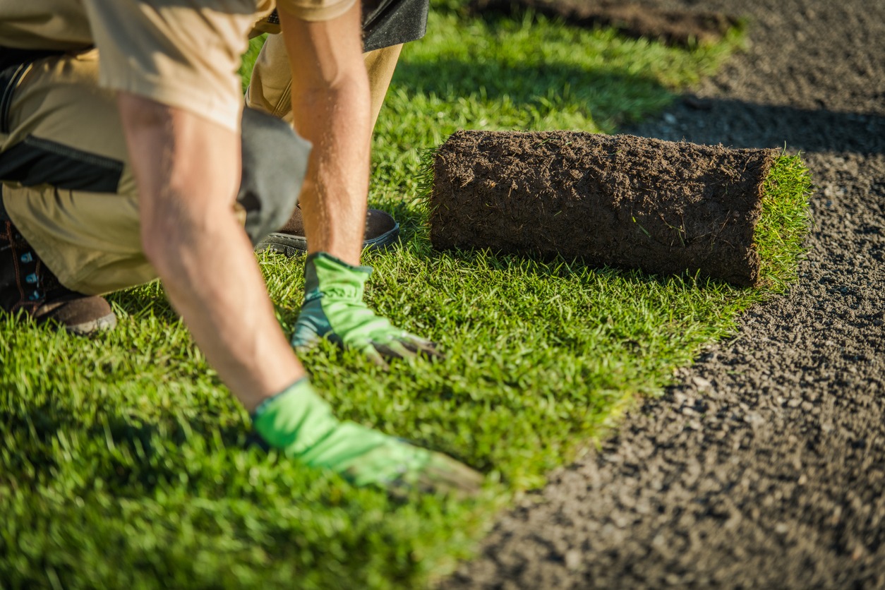 A person wearing gloves lays rolled sod onto a green lawn, adjacent to a gravel path, concentrating on precise placement.