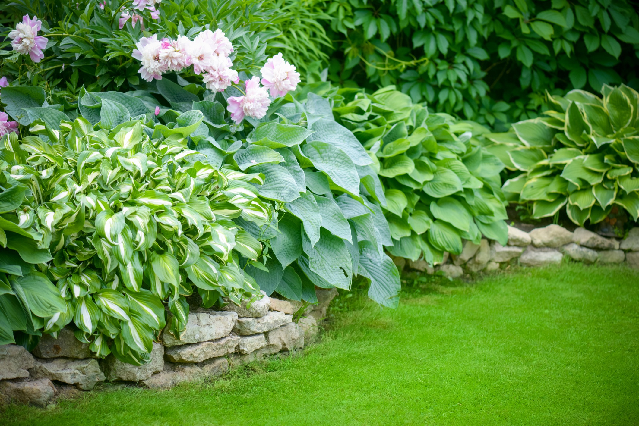 Lush garden with green foliage and pink flowers, bordered by a stacked stone wall. Neatly trimmed grass enhances the serene natural setting.