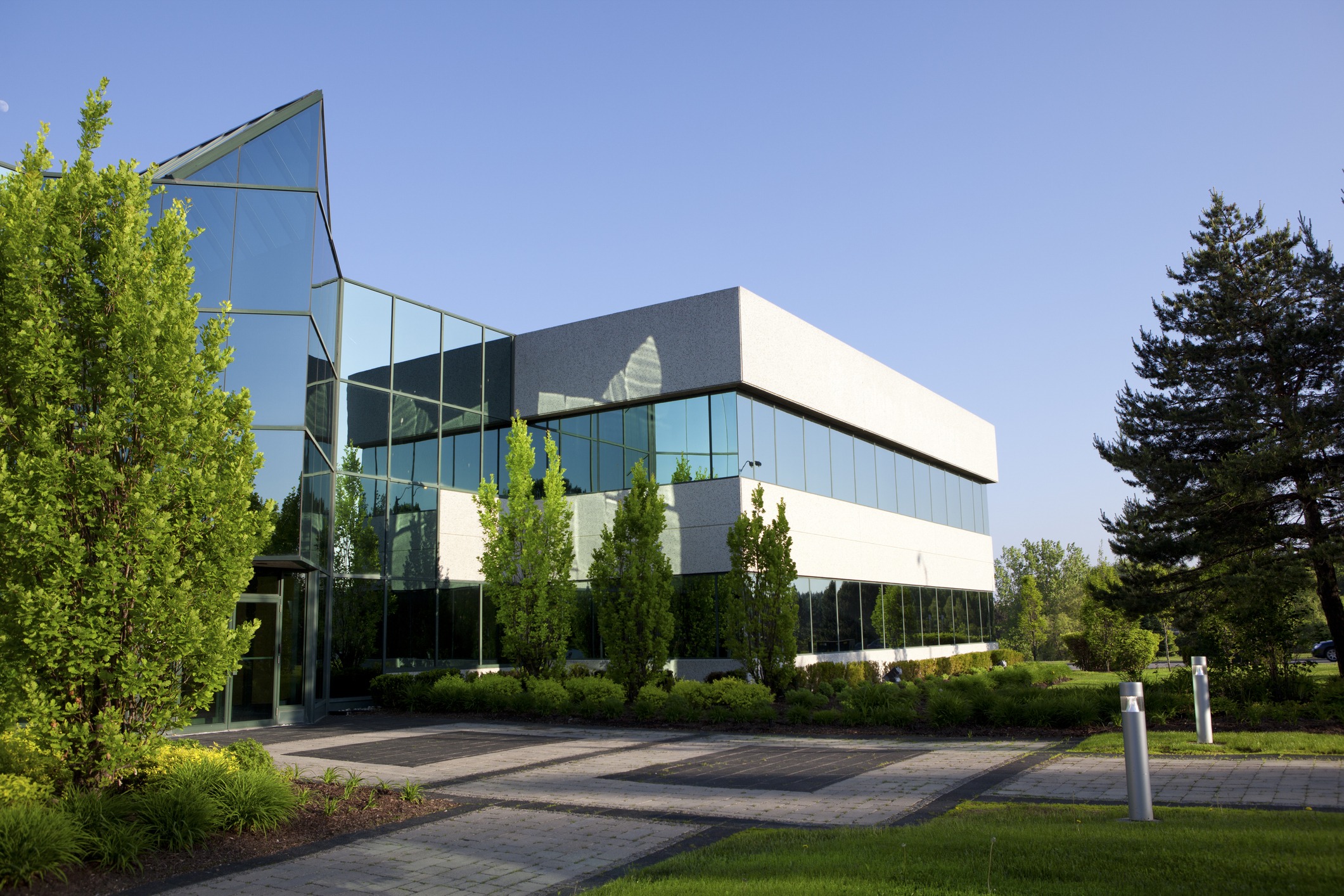 Modern glass building surrounded by lush trees and greenery on a sunny day, with paved walkways and no visible people around.